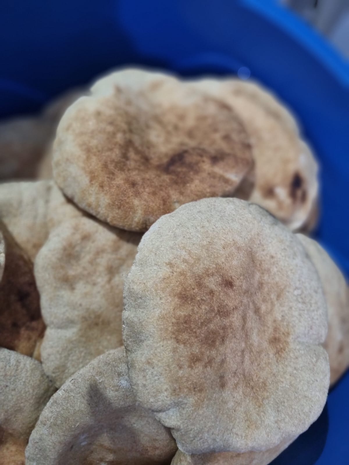خبز قمح(كامل) بالطابون